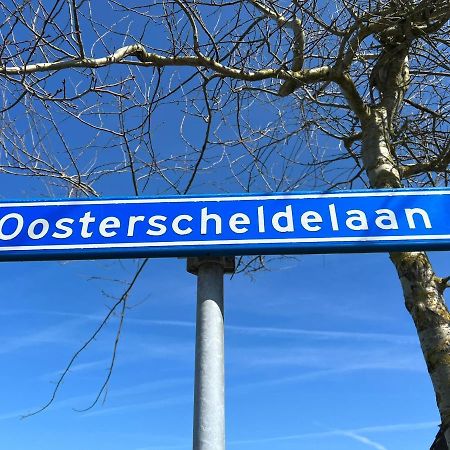 Vakantiehuis Met Luxe Tuin Dichtbij Het Strand Kamperland Exterior foto
